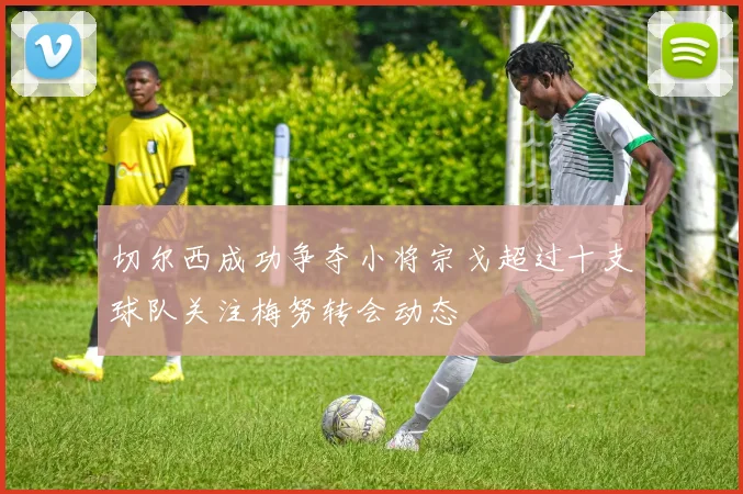 切尔西成功争夺小将宗戈超过十支球队关注梅努转会动态