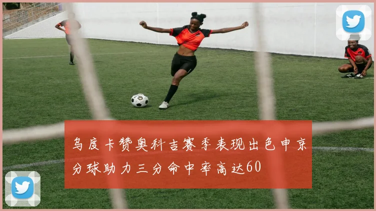乌度卡赞奥科吉赛季表现出色申京分球助力三分命中率高达60